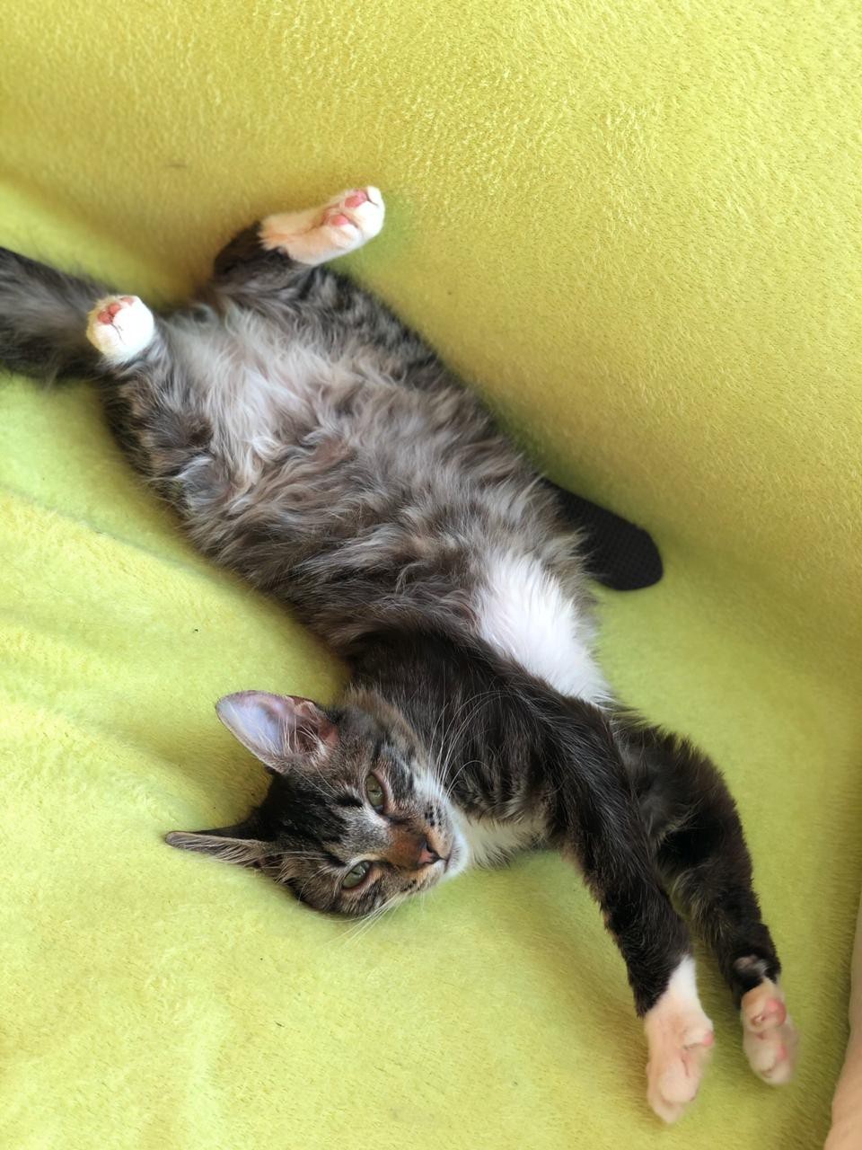 Нахим