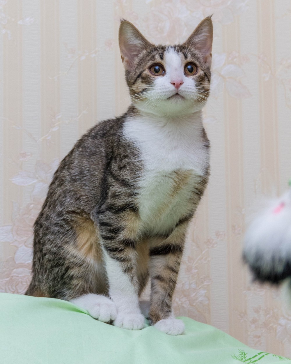 Кузя
