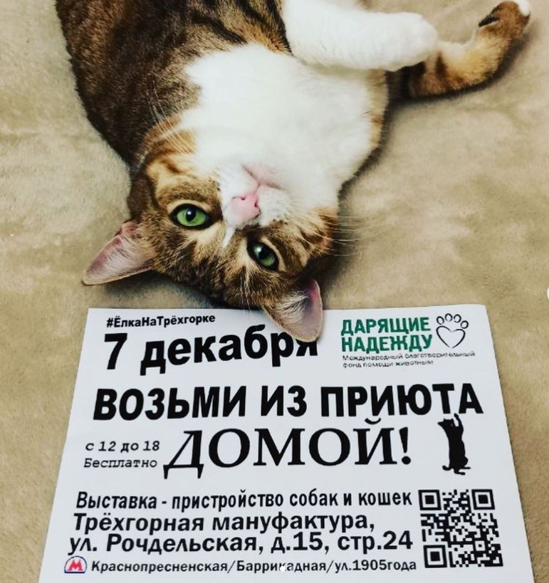 Творчество - это великолепно!