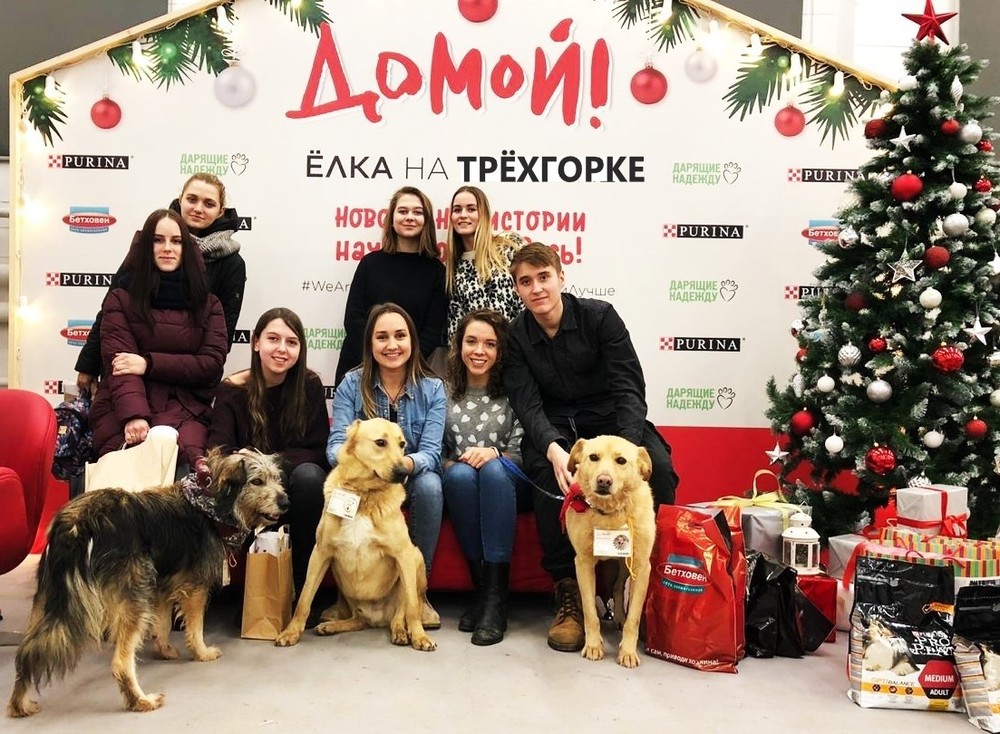 Приглашения отправлены