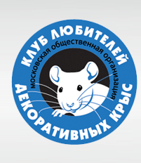 Ведь 2020 год - год Крысы