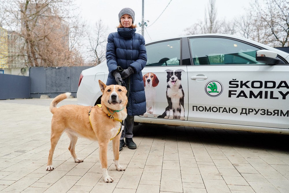 Сервис ŠKODA PET-MOBIL