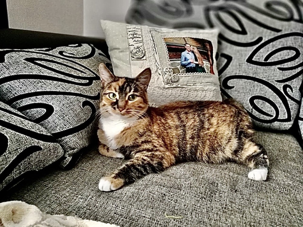 Манюня