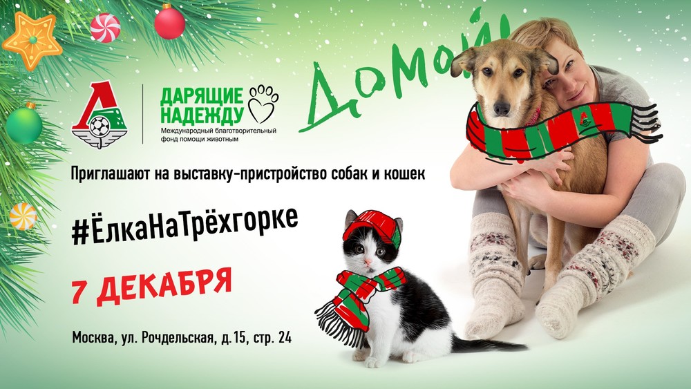 Локомотив