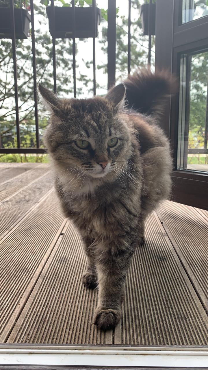 Сказка