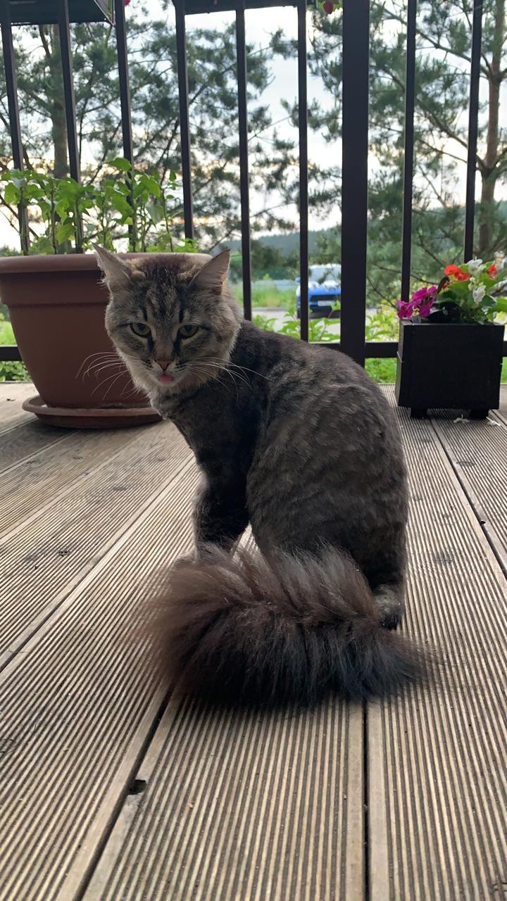 Сказка