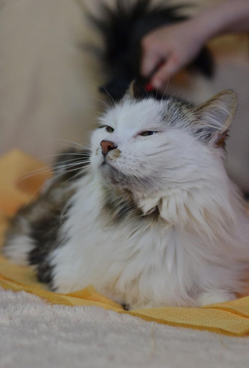 Семен