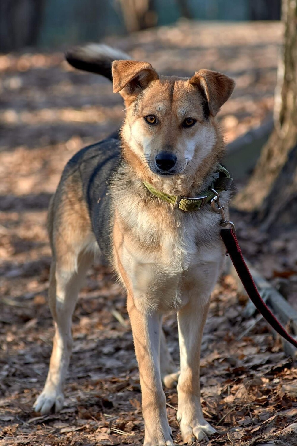 Луна