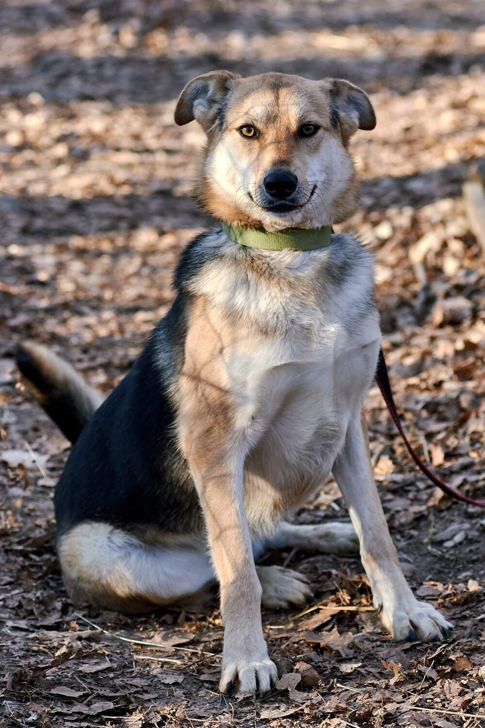 Луна