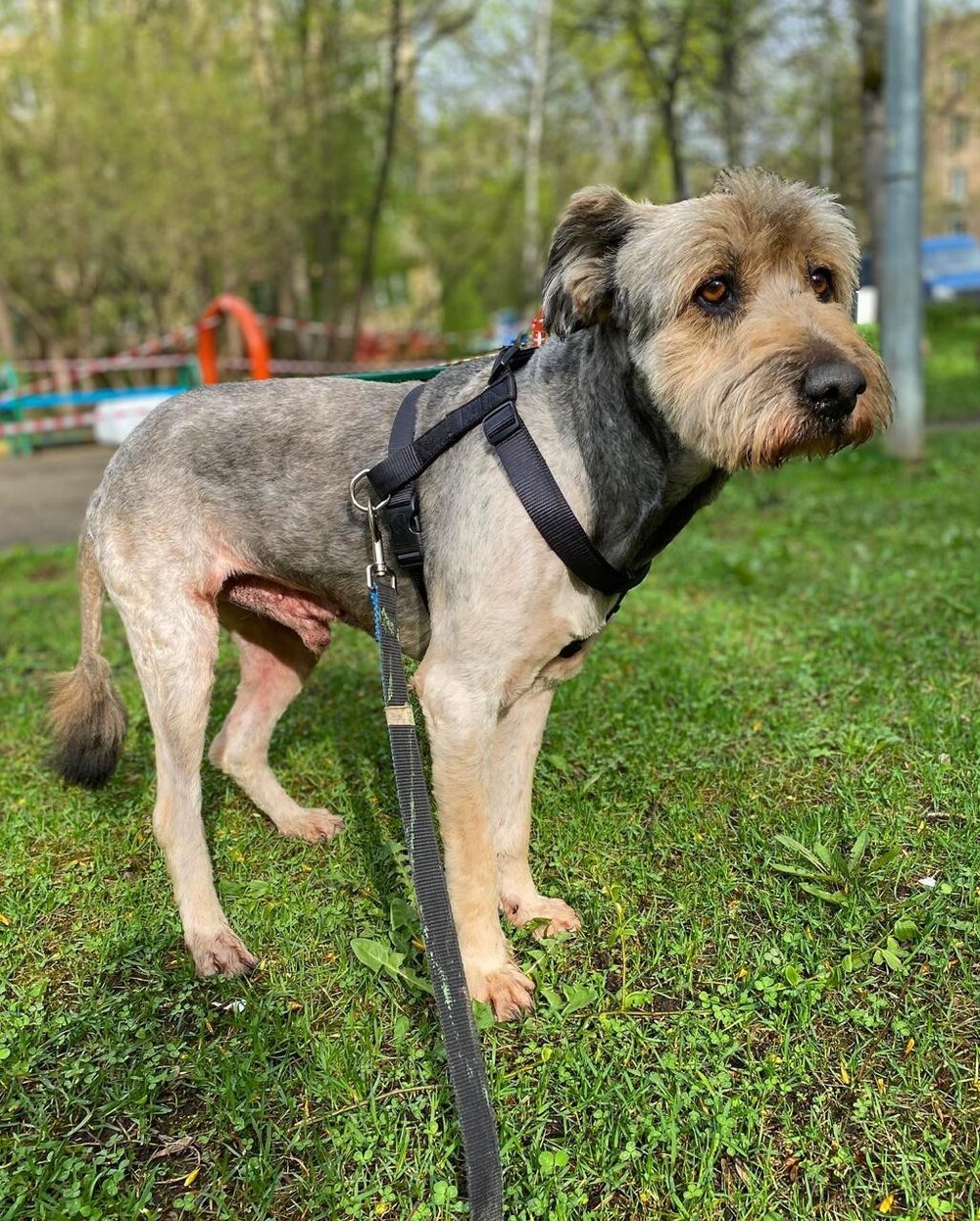 Витя