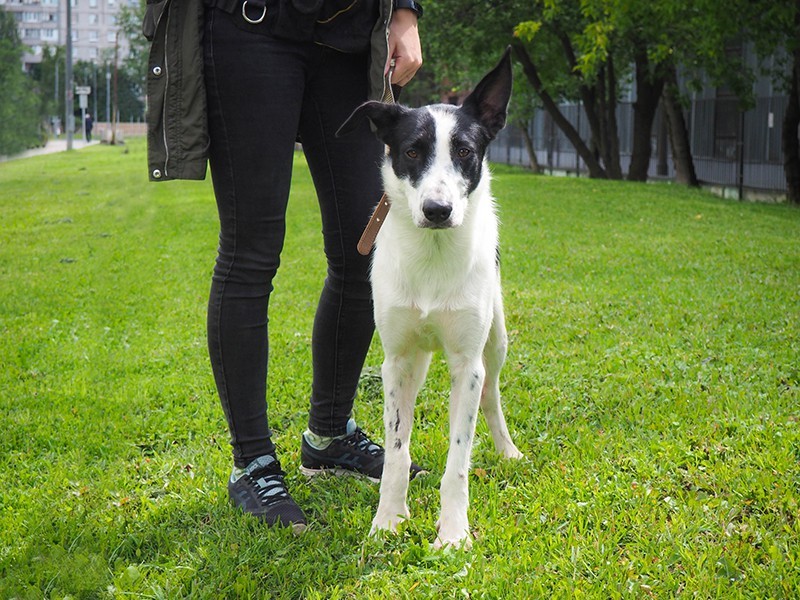 Тепа