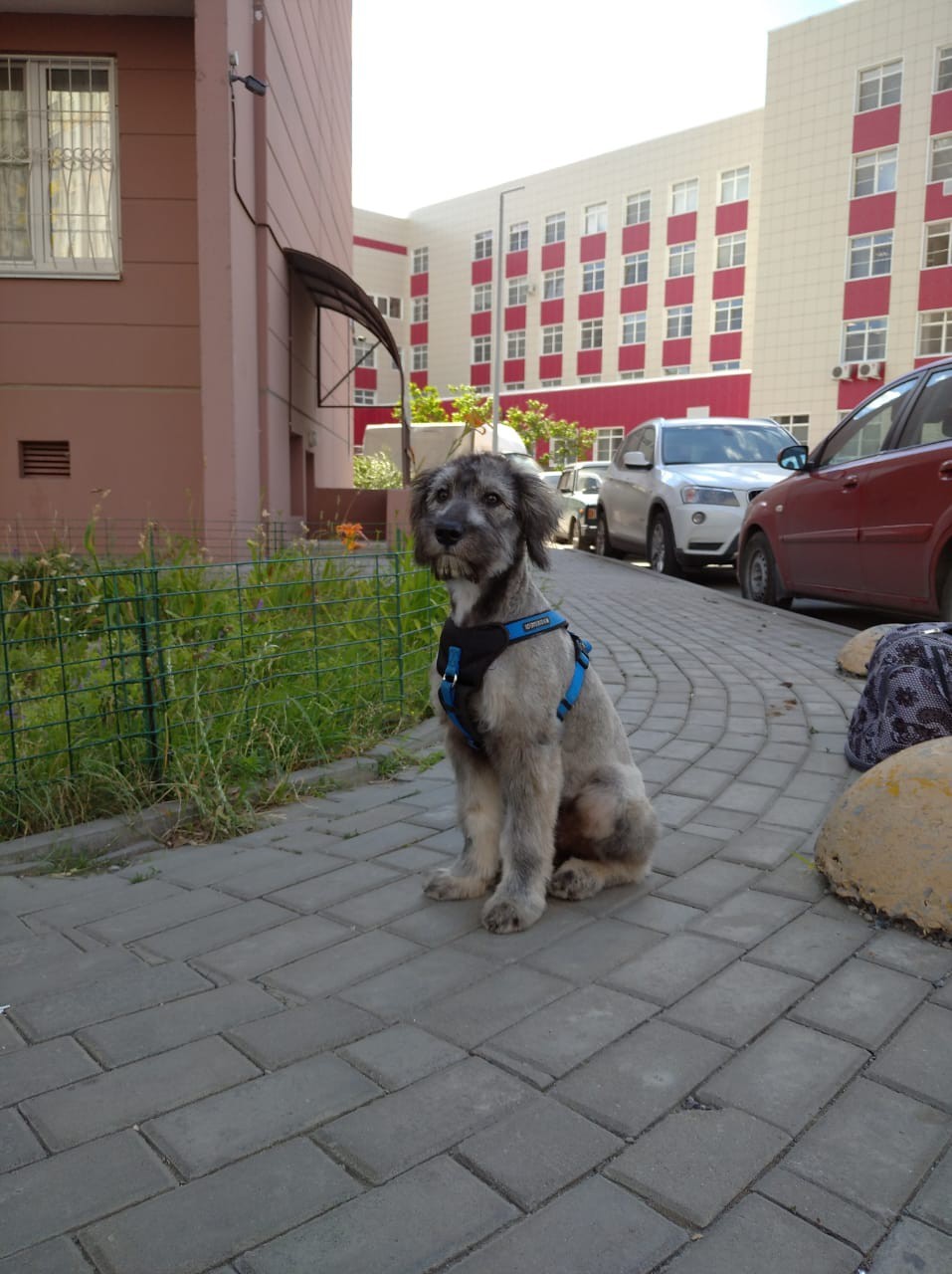 Фунтик