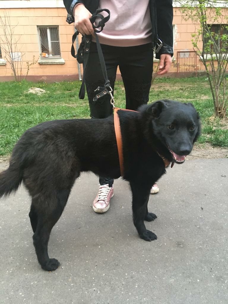 Робинзон