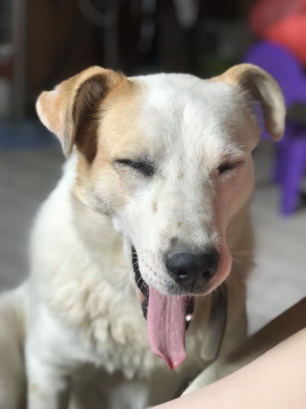 Лима