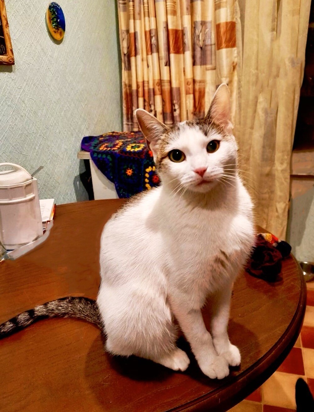 Миуча