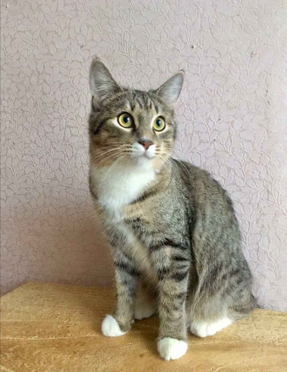 Фунтик
