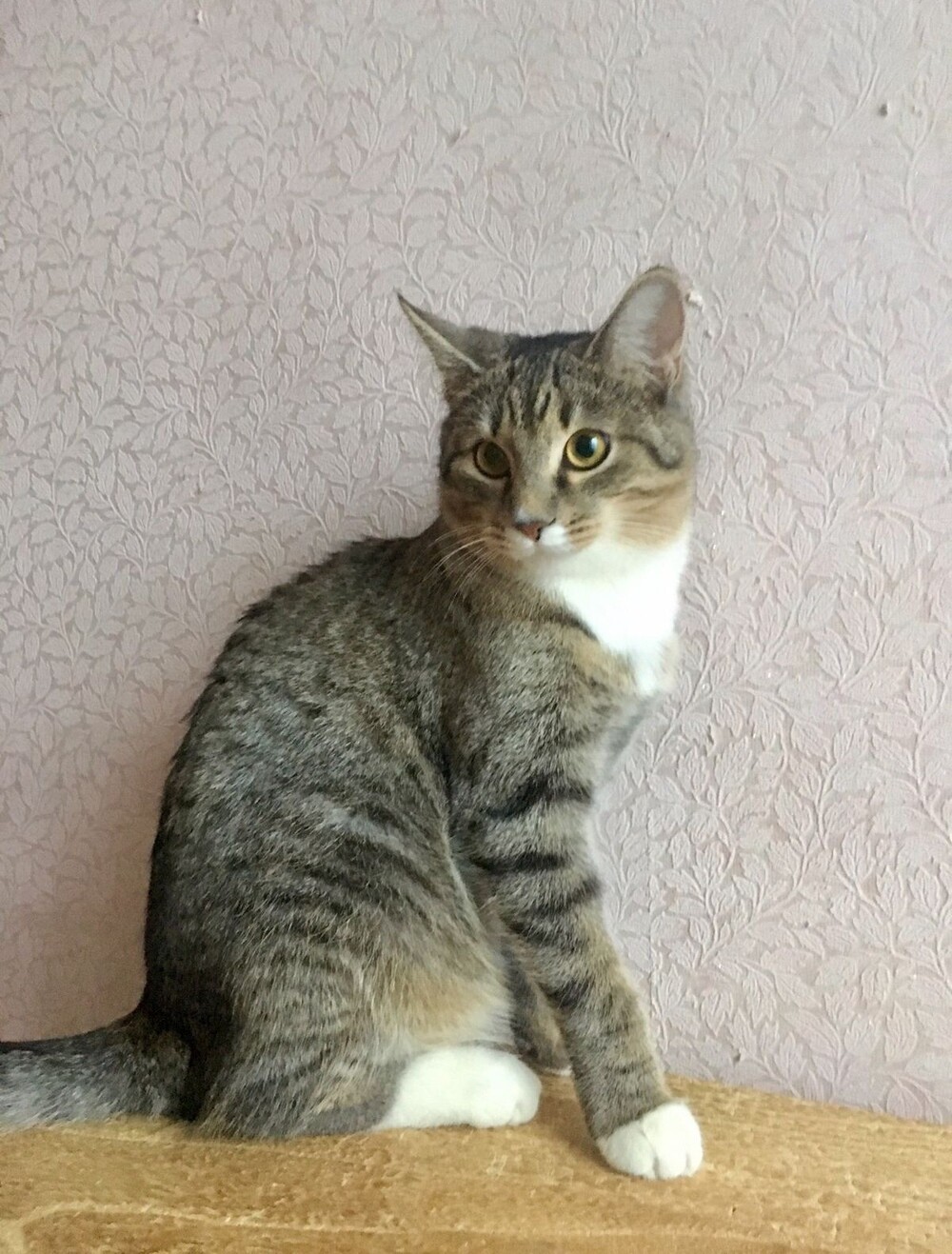 Фунтик