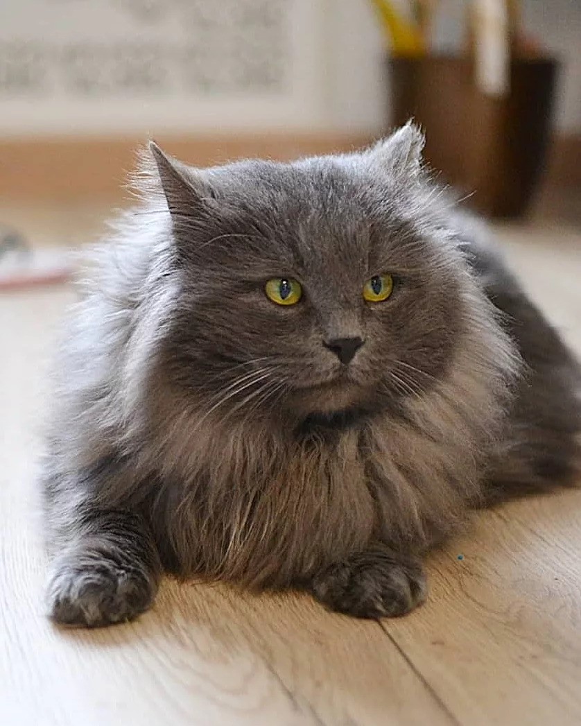 Космос