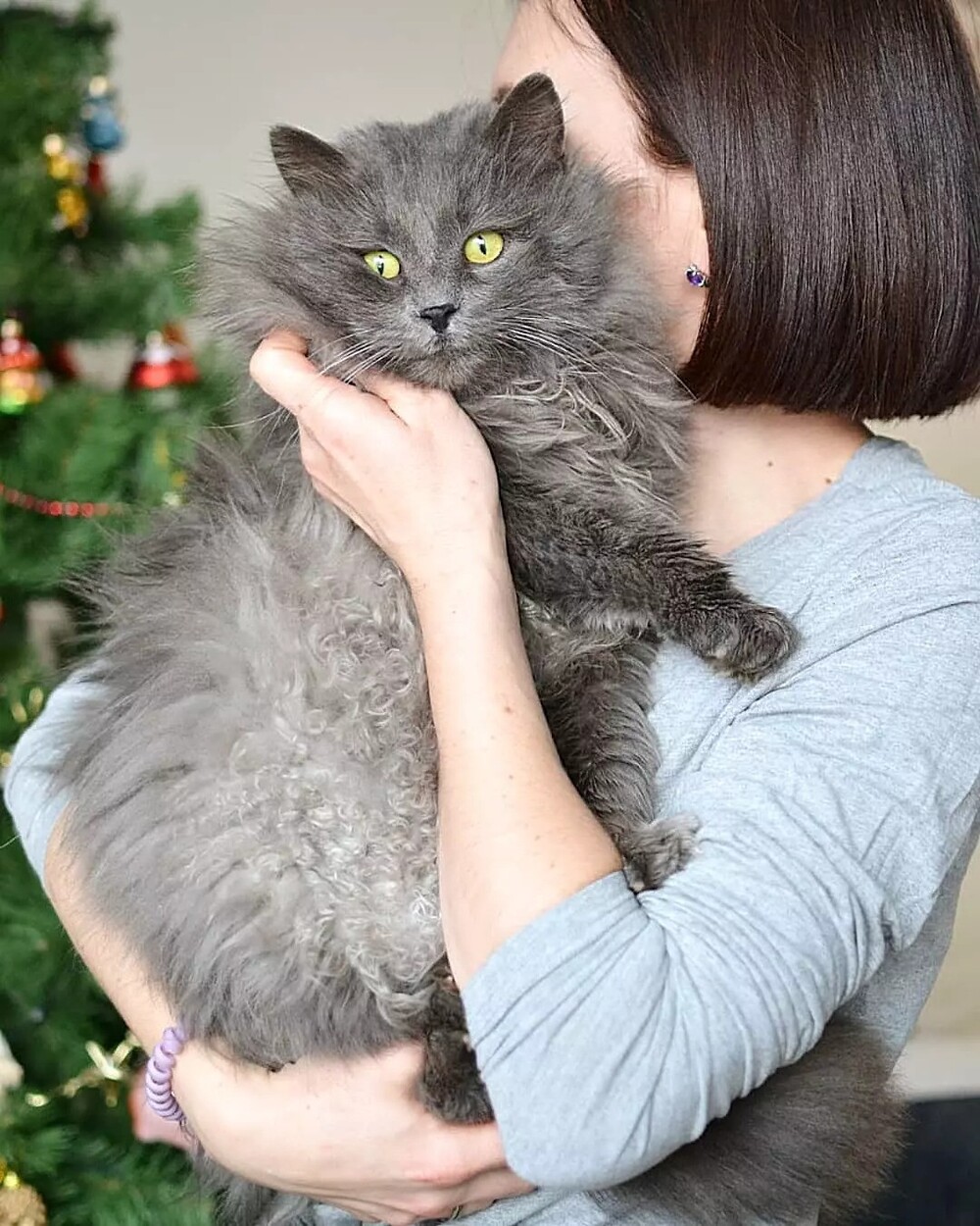Космос