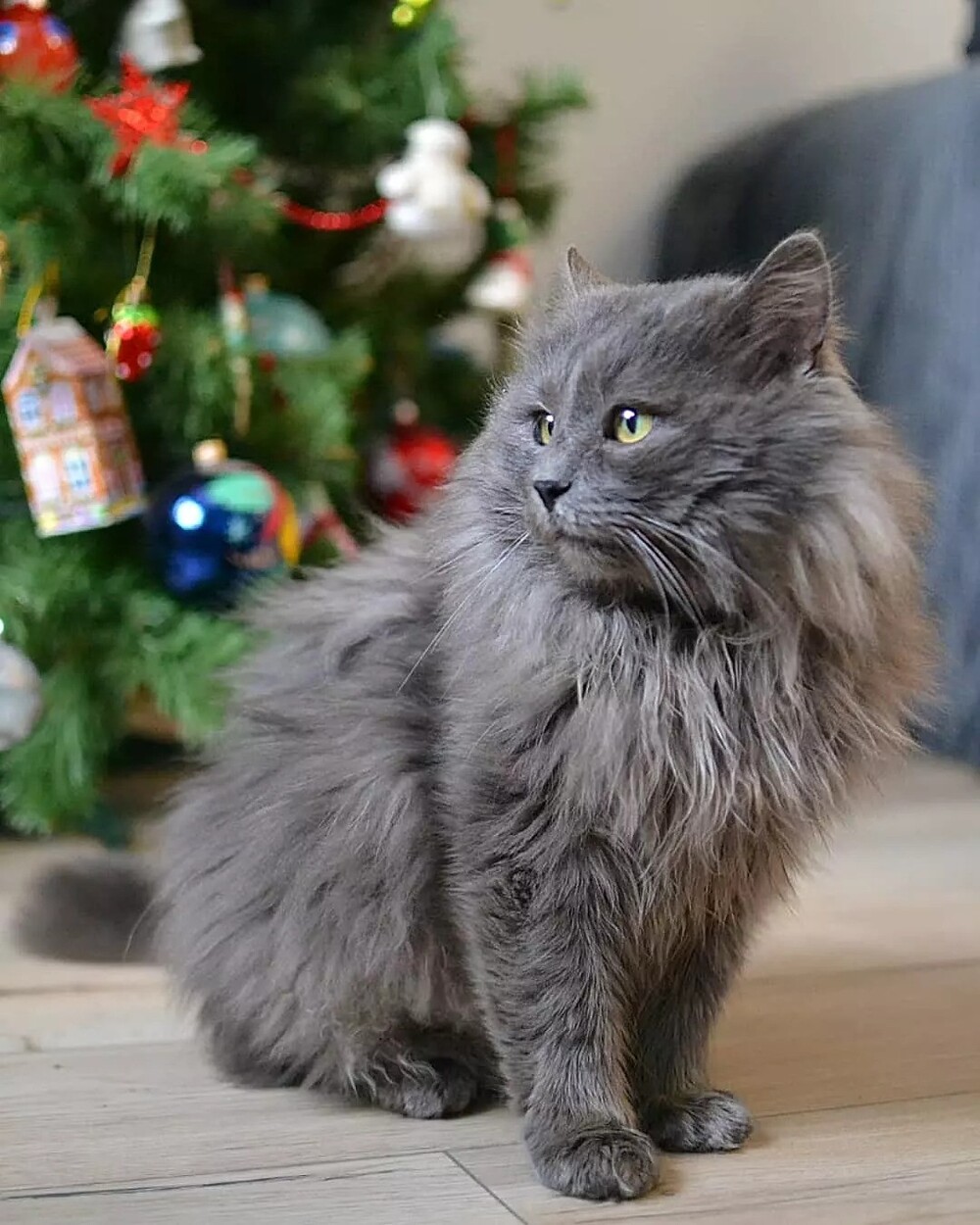 Космос