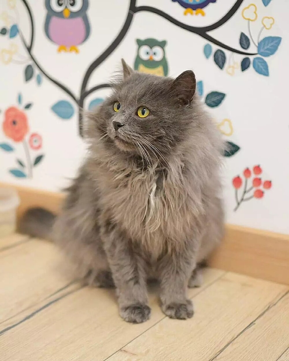 Космос