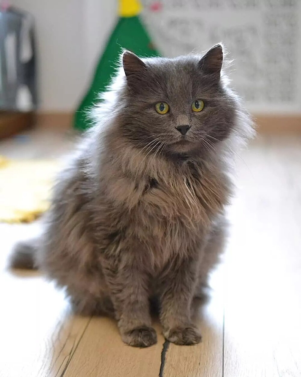 Космос