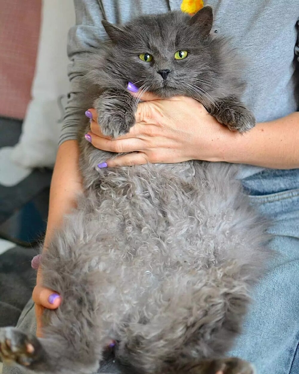 Космос