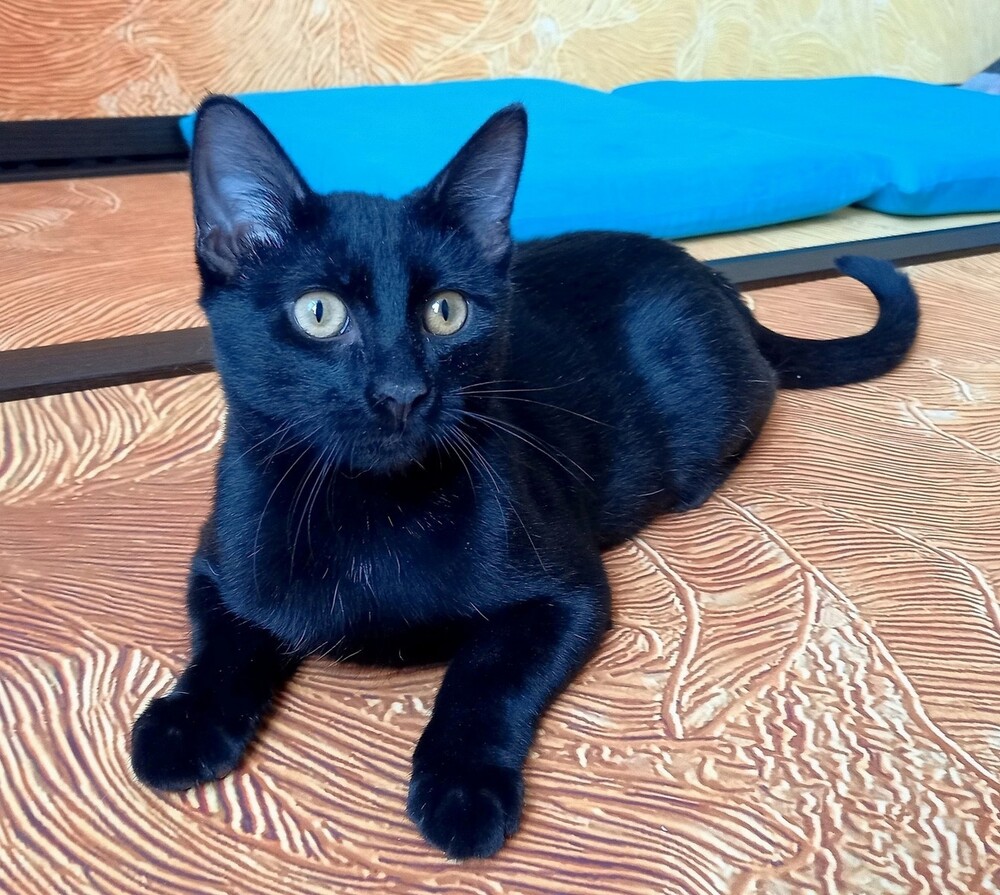 Кузя