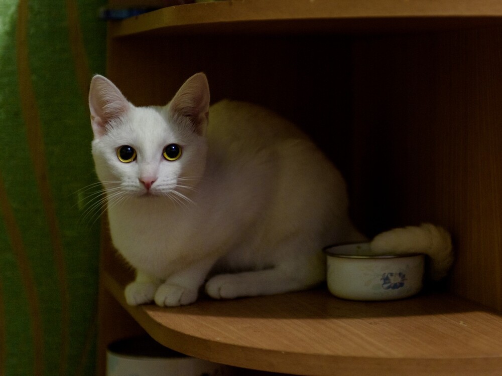 Миля