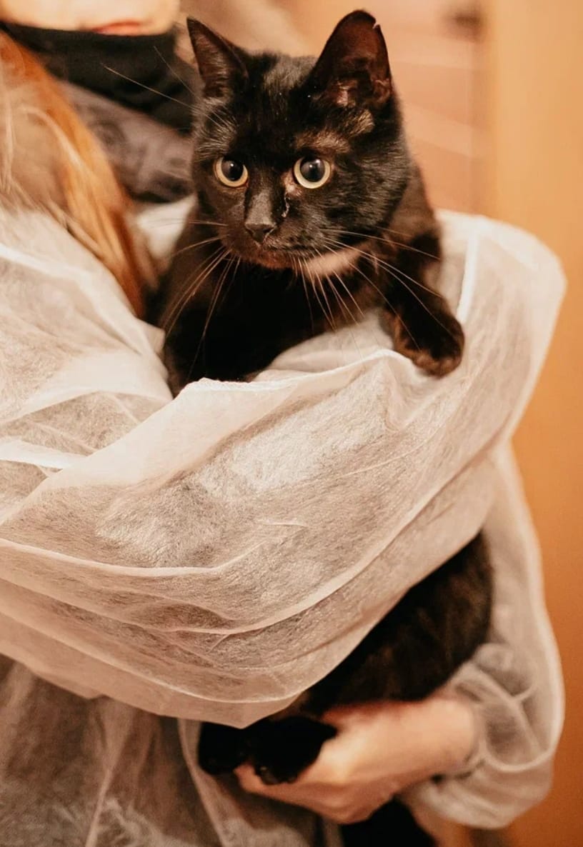Мисти
