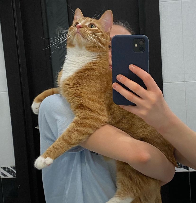 Фокс
