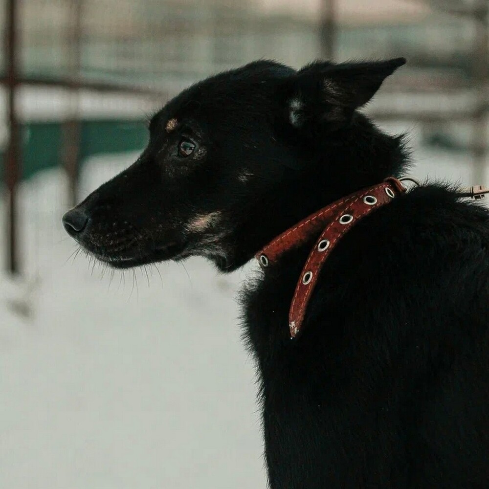 Жан