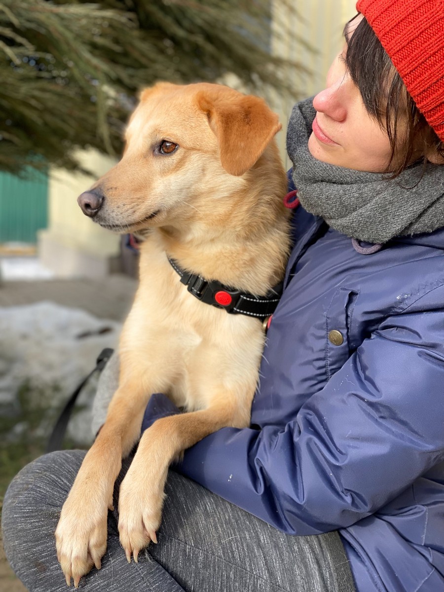 Нола