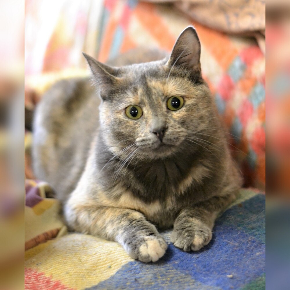 Лола