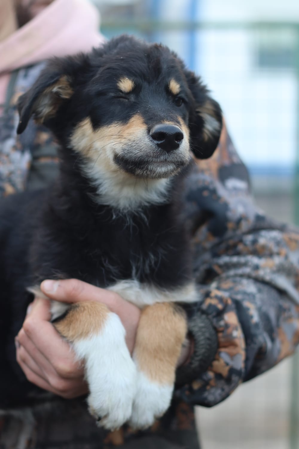 Юта