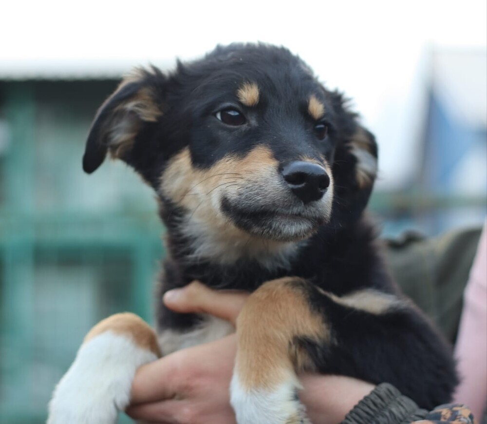 Юта