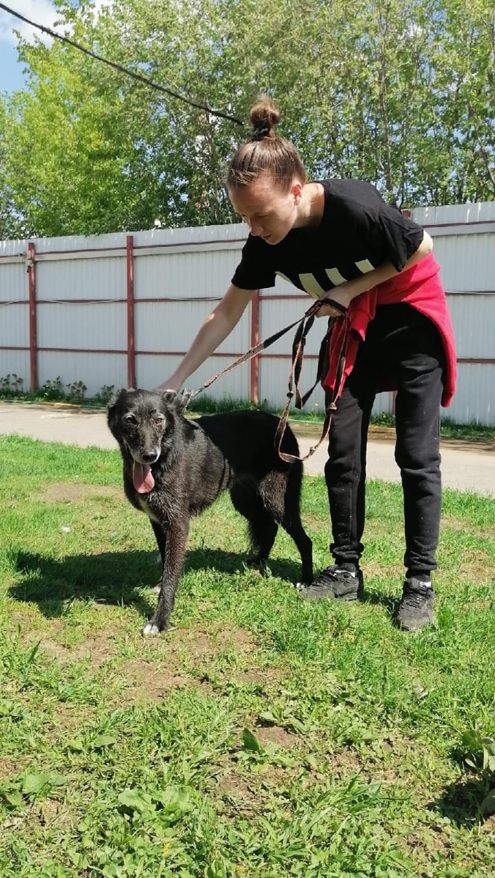 Холли