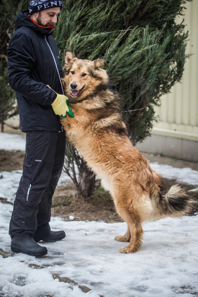 Леонель
