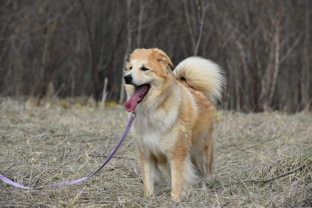 Мардин