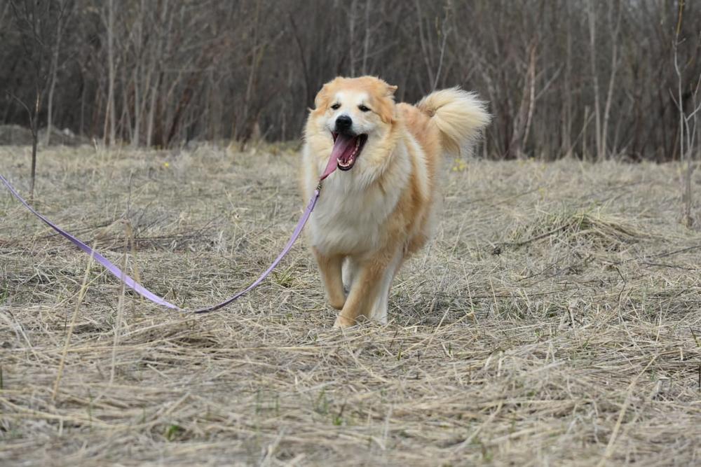 Мардин