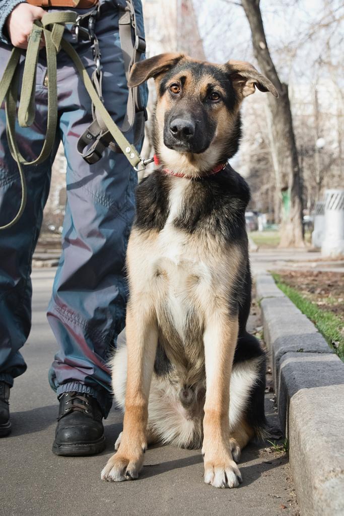 7. Изюм