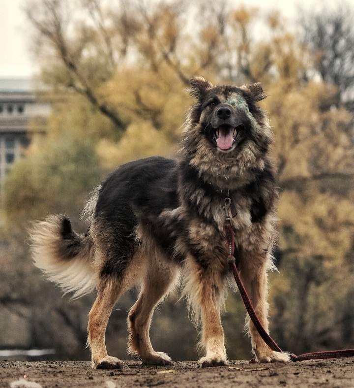 33. Малышка