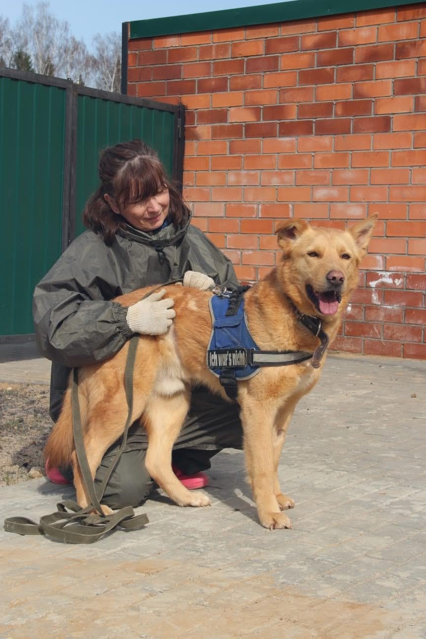 Лучик