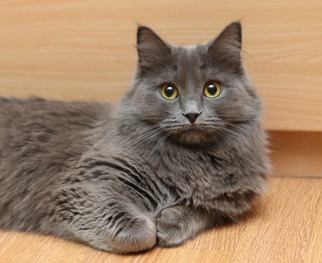 31. Матильда
