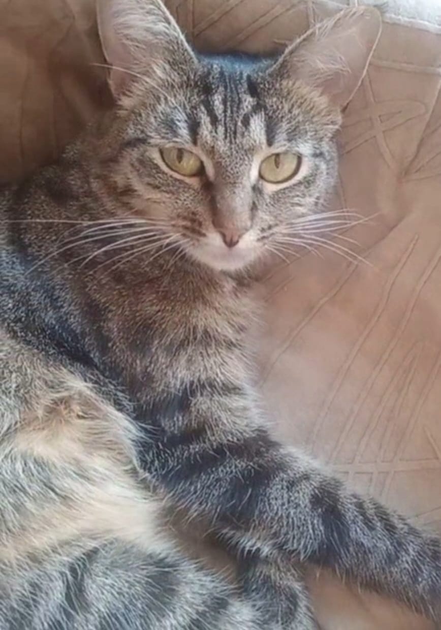 Луна