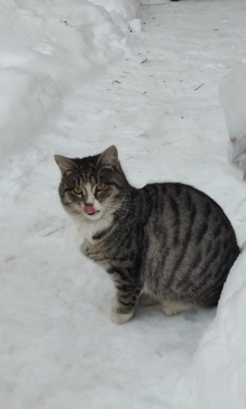 Бусинка