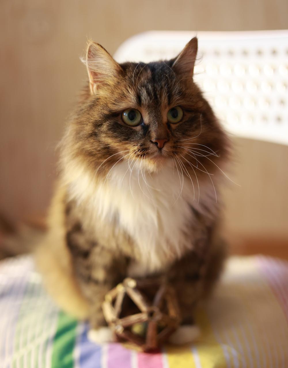 Марта