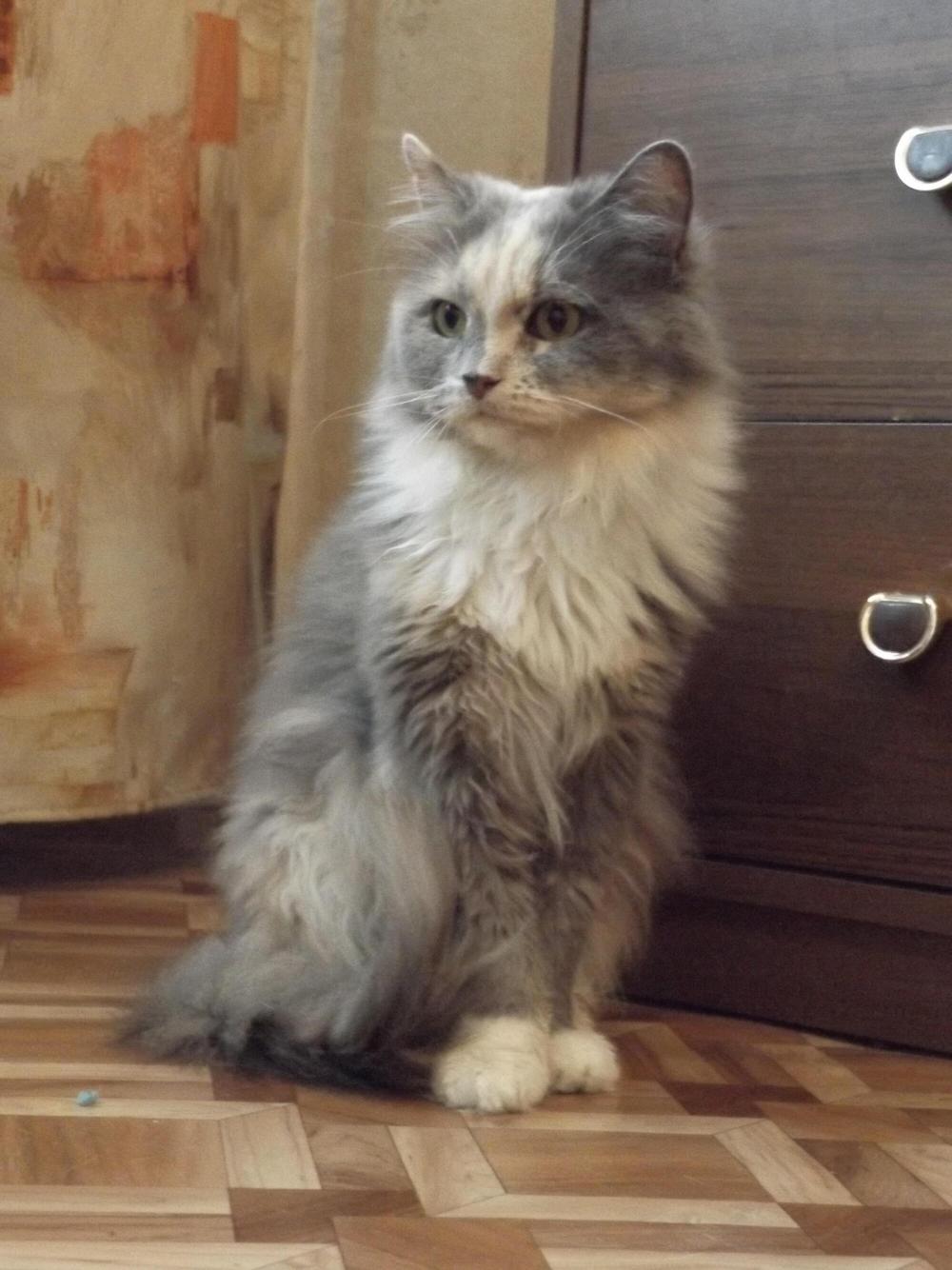 25. Оливия