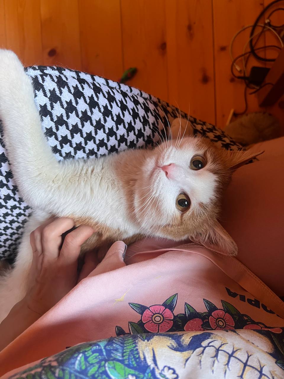 Груня