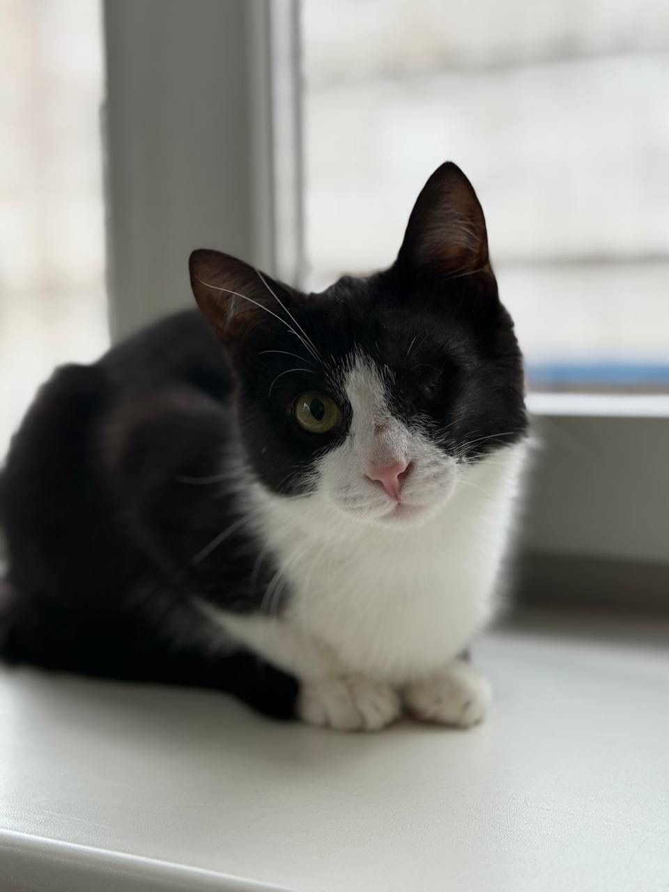 Люсик